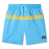 Speedo Boys Colourblock Volley 15" Swim Short