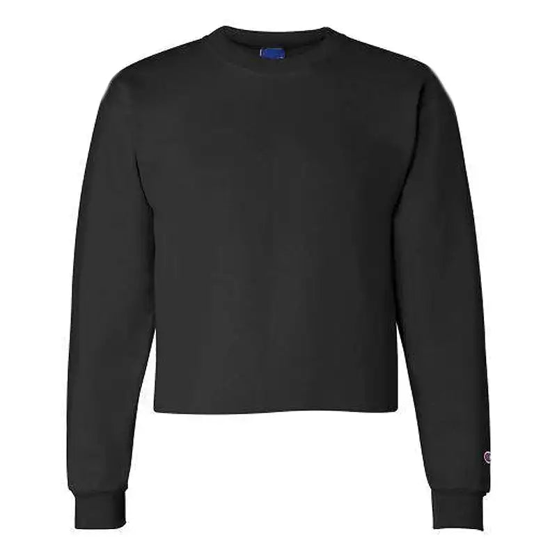 Champion sweater shop crop top junior