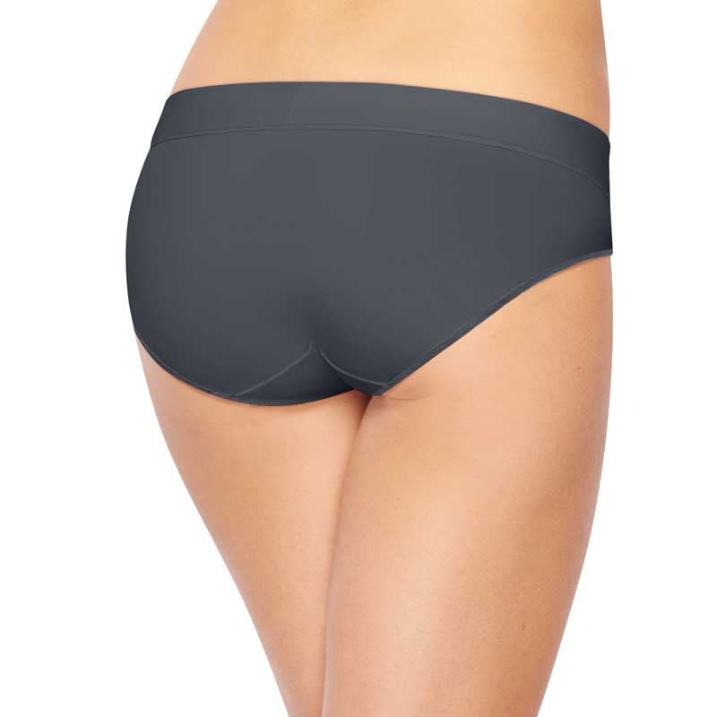 HANES 4PK BRIEFS Underwear Womens 6/M Premium Microfiber Cool